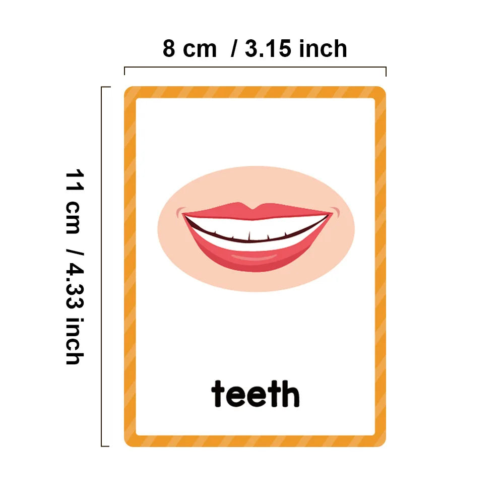 Montessori Kids English Words Learning Flashcards Early Educational Cards Classroom Supplies Kindergarten Teacher Teaching Aids