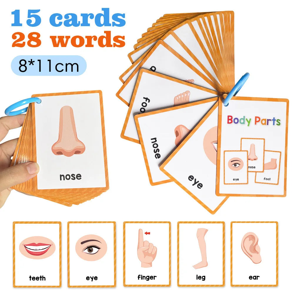 Kids Early Educational Flashcards
